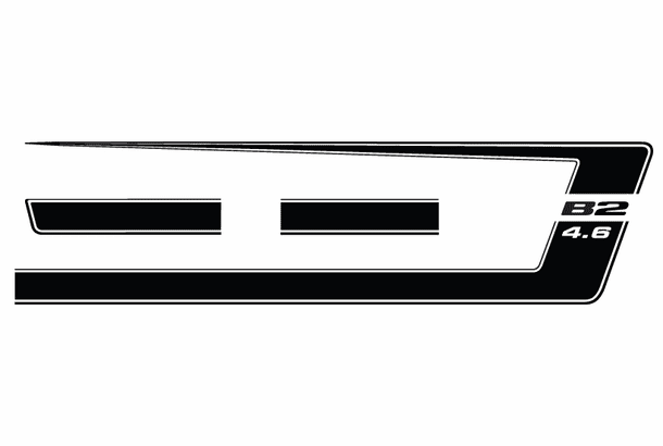 05-09 Mustang B2 Stripe Set