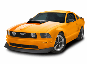 05-09 Mustang B9 Hood Kit