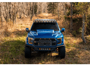 17-20 Raptor 4in Cowl Hood