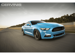 2015-2017 Cobra R Hood