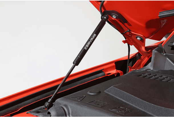 2015-2023 Cervini's Mustang Hood Struts